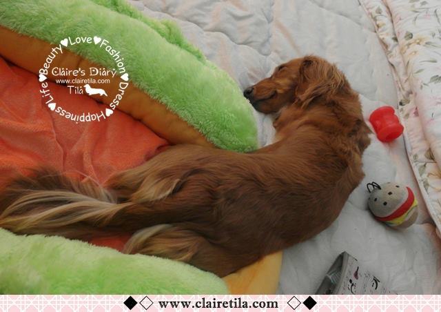 20251024-kwnhg 20251024-kwnhg