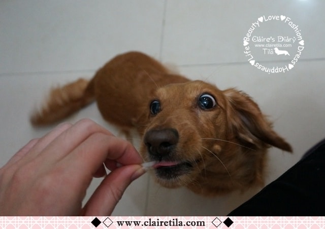 20251024-p1eg9 20251024-p1eg9