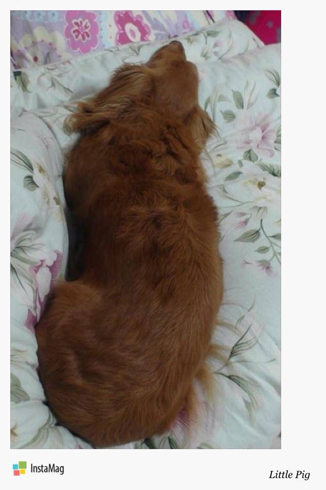 20251024-tnsew 20251024-tnsew