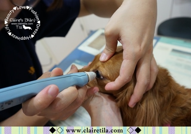 20251024-0z5t6 20251024-0z5t6