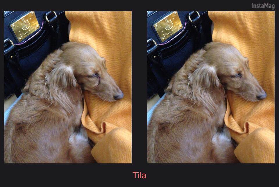 20251024-0zzff 20251024-0zzff