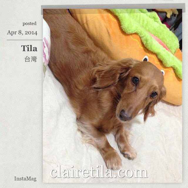 20251024-19vr4 20251024-19vr4