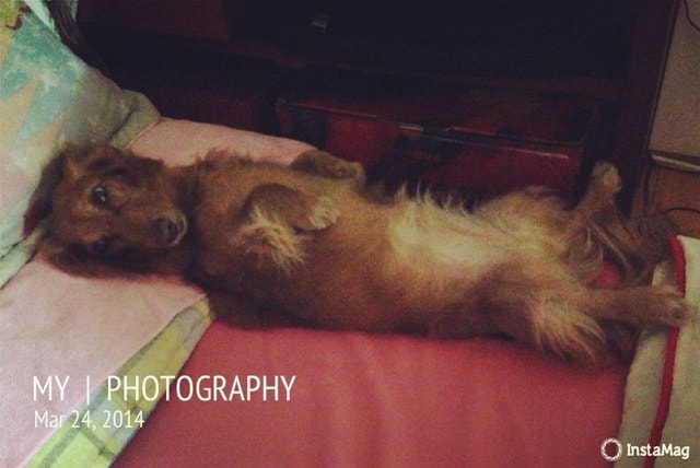 20251024-252iz 20251024-252iz