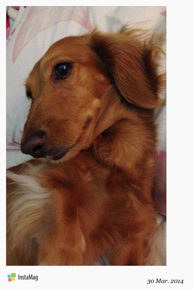 20251024-3x7f4 20251024-3x7f4