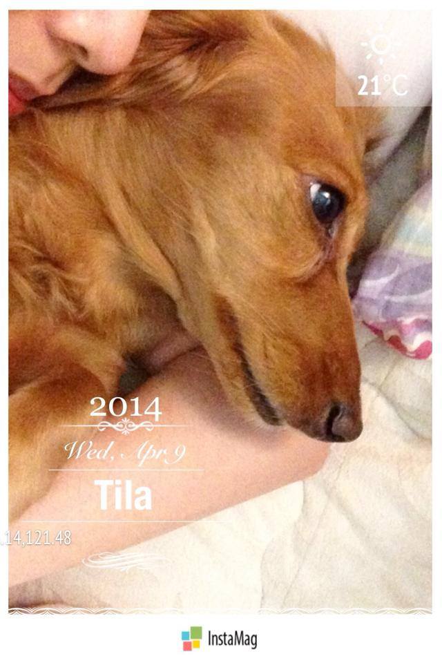 20251024-69dhp 20251024-69dhp