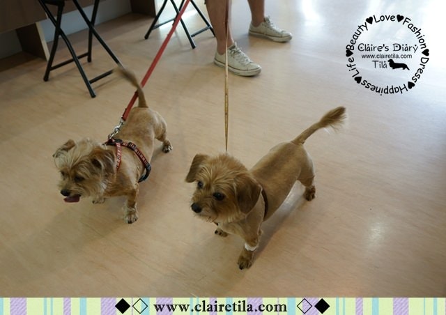 20251024-6emrk 20251024-6emrk