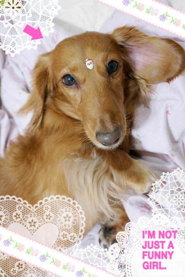 20251024-79yhp 20251024-79yhp