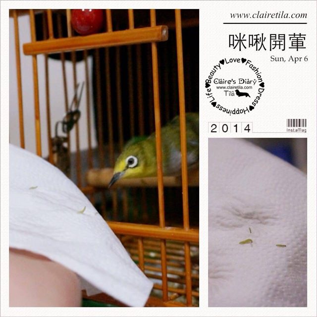 20251024-arbbn 20251024-arbbn