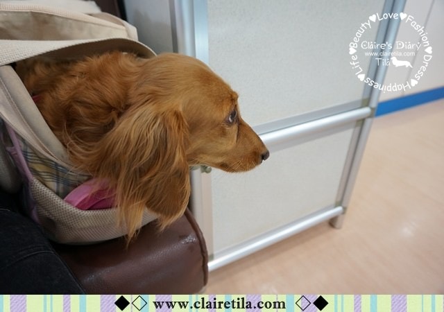 20251024-dikd5 20251024-dikd5