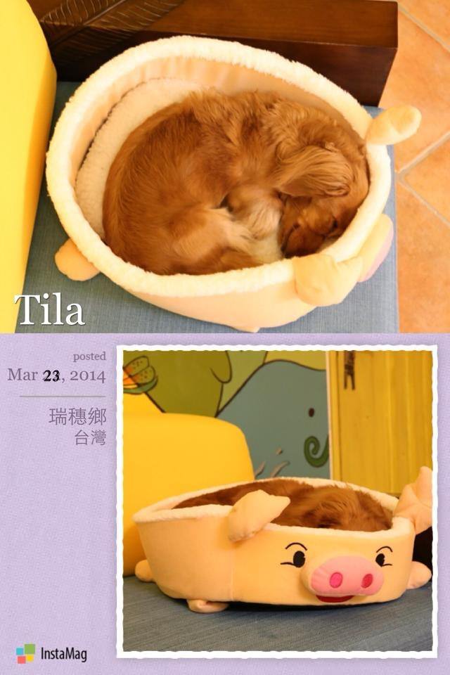 20251024-dkhef 20251024-dkhef