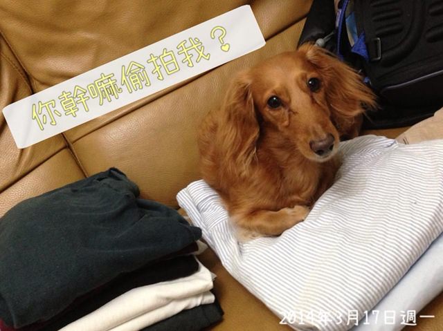 20251024-fu7h2 20251024-fu7h2