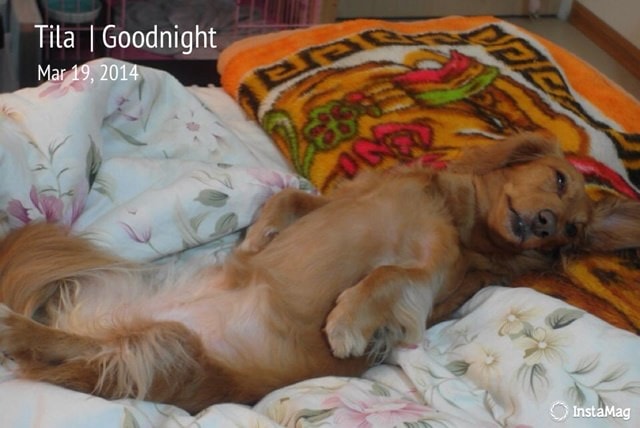 20251024-g9ee2 20251024-g9ee2