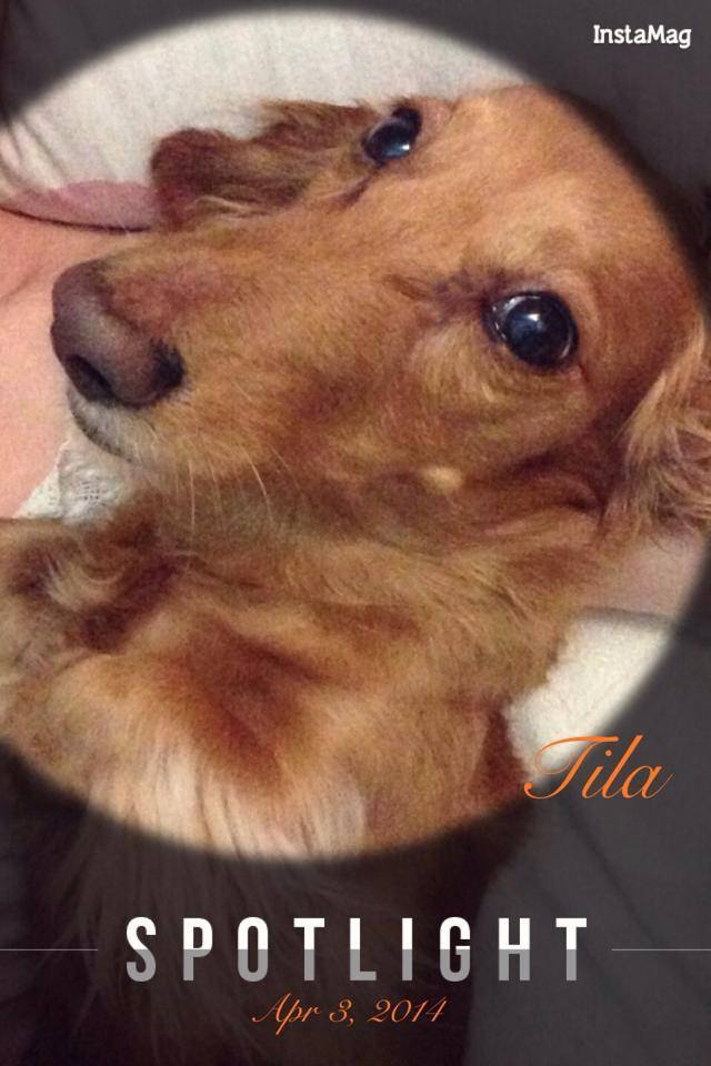 20251024-gm3y5 20251024-gm3y5