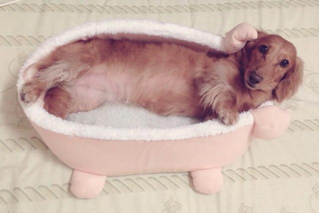 20251024-hcmof 20251024-hcmof