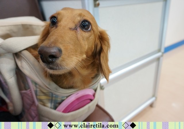 20251024-hqg9r 20251024-hqg9r