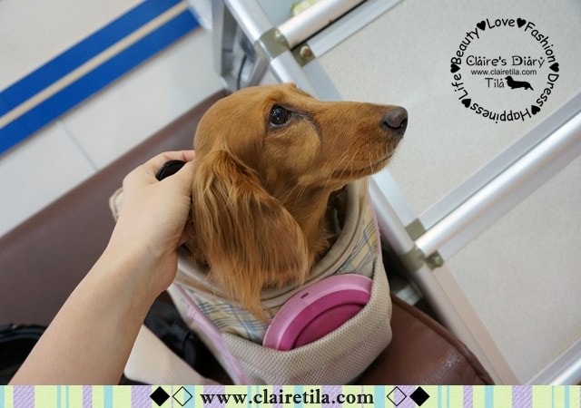 20251024-jwge3 20251024-jwge3