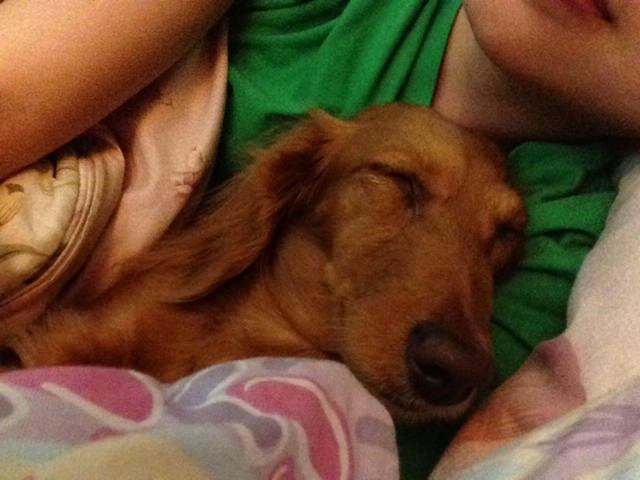 20251024-l7zs9 20251024-l7zs9