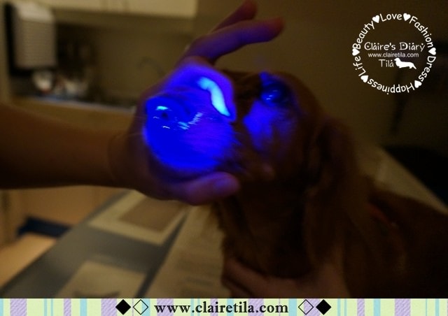 20251024-lhtlo 20251024-lhtlo