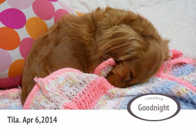 20251024-n943v 20251024-n943v