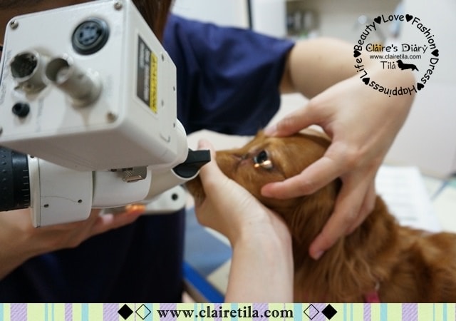 20251024-nrs0z 20251024-nrs0z