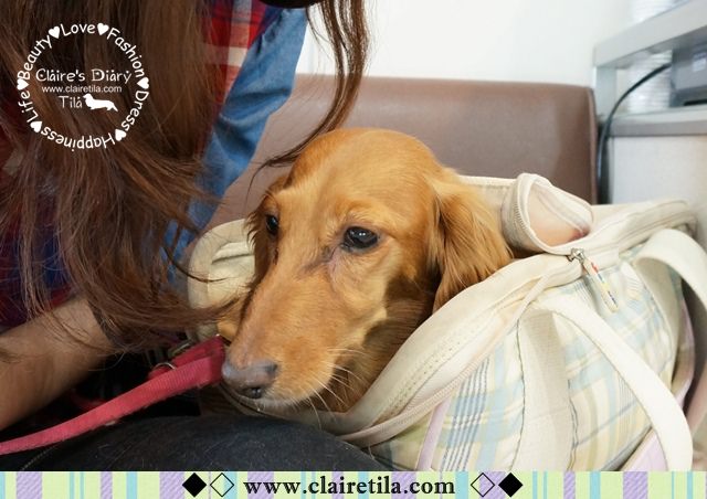 20251024-qp0vc 20251024-qp0vc