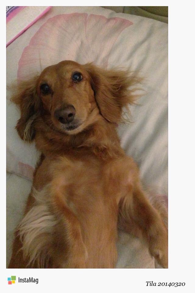 20251024-rg9im 20251024-rg9im