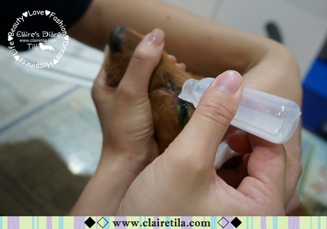 20251024-t1p5e 20251024-t1p5e