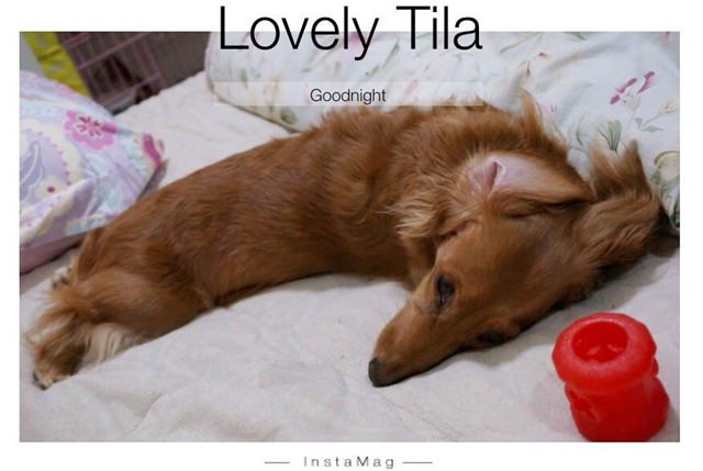 20251024-t5vex 20251024-t5vex