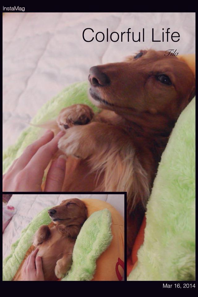 20251024-ychjj 20251024-ychjj