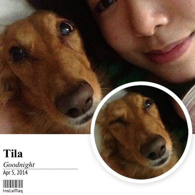 20251024-ywg7z 20251024-ywg7z