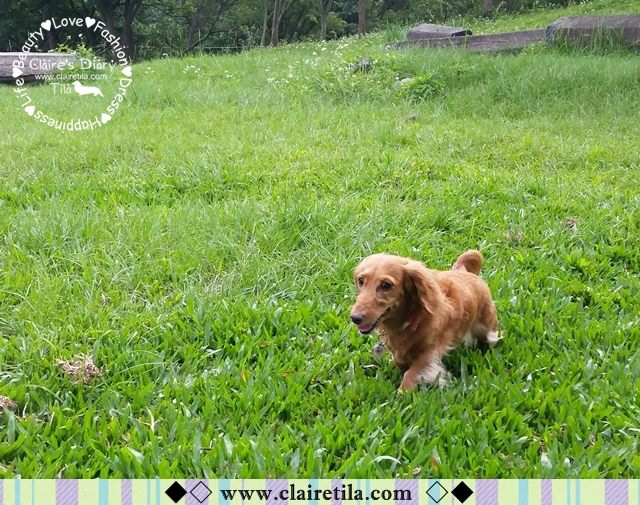 20251024-0ka5l 20251024-0ka5l