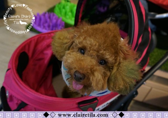 20251024-56odf 20251024-56odf