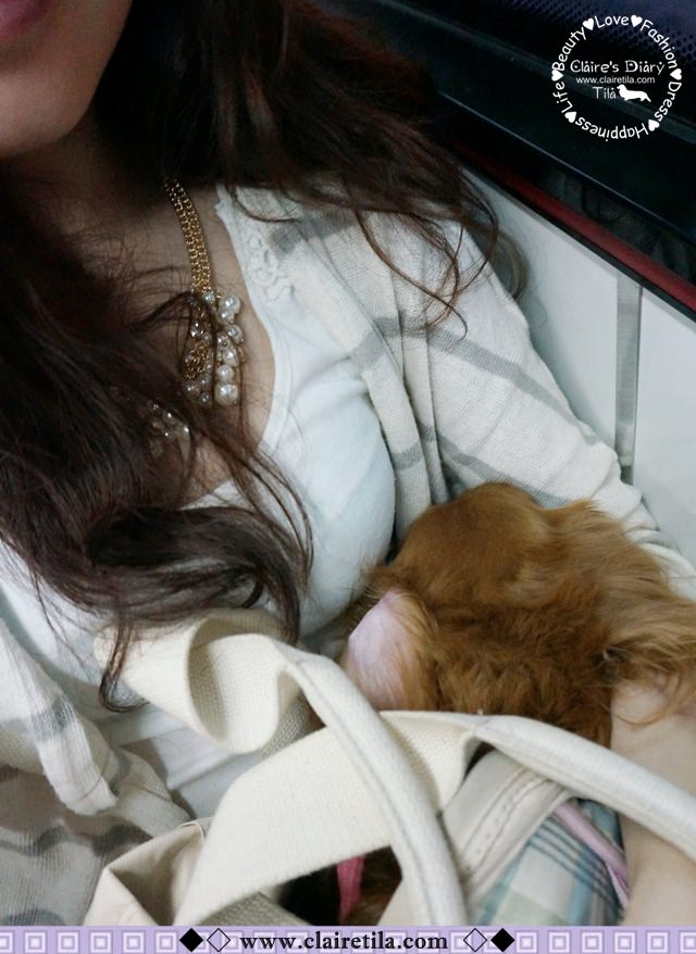 20251024-9b5fw 20251024-9b5fw