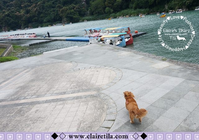 20251024-a3q6f 20251024-a3q6f