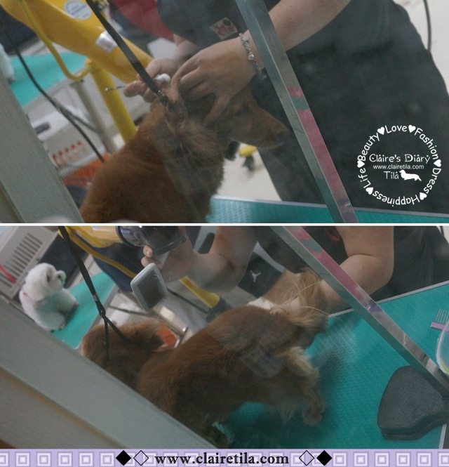 20251024-a9miq 20251024-a9miq