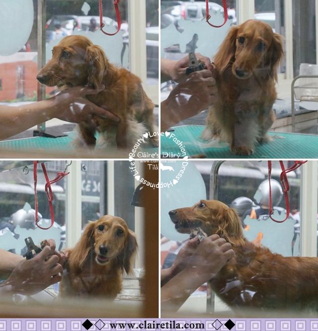 20251024-cdj83 20251024-cdj83