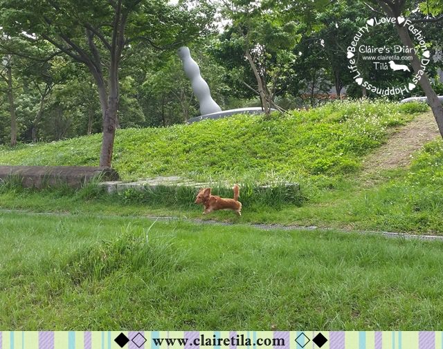 20251024-csqtu 20251024-csqtu