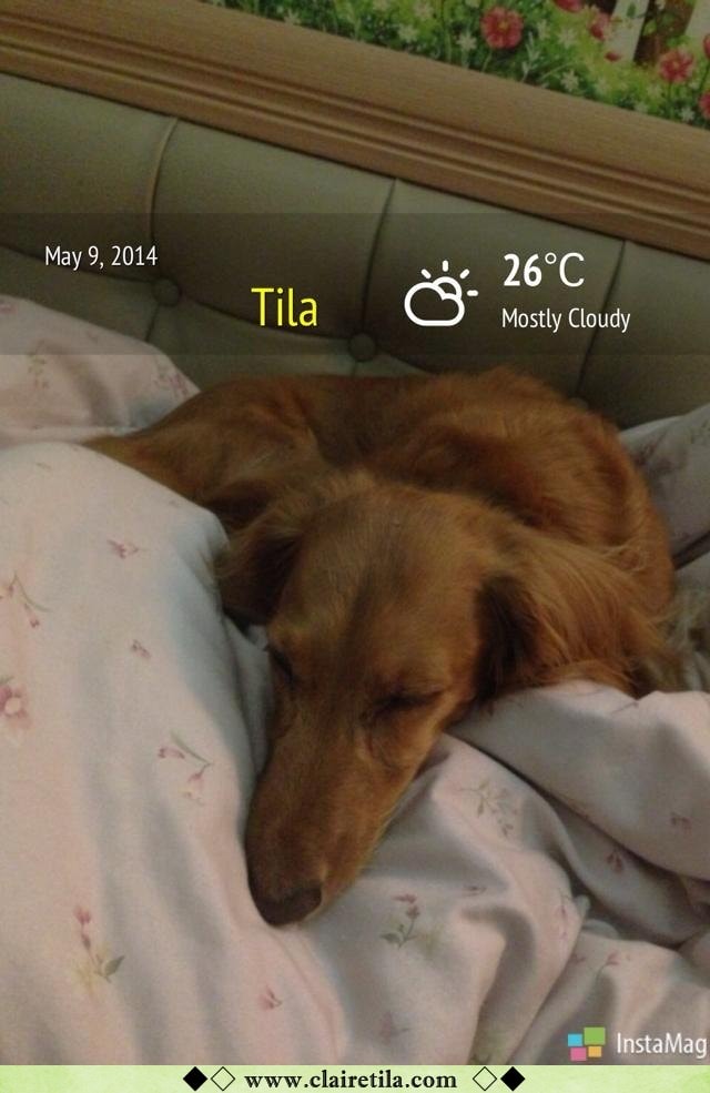 20251024-f2rms 20251024-f2rms