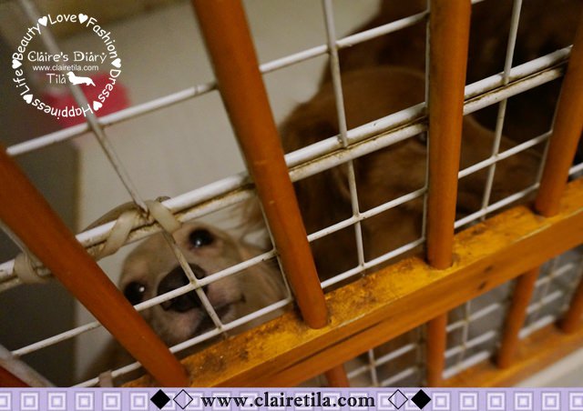 20251024-fmyg2 20251024-fmyg2