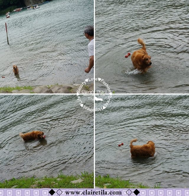 20251024-g0qfc 20251024-g0qfc