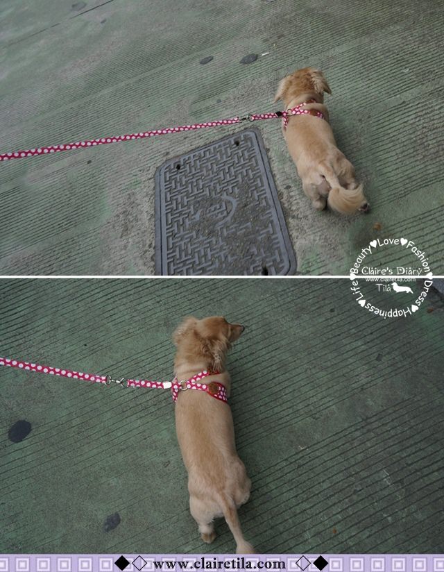 20251024-hkabb 20251024-hkabb