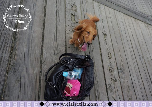 20251024-kzgd7 20251024-kzgd7