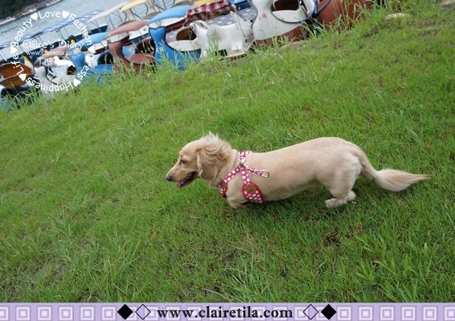 20251024-l7rlw 20251024-l7rlw