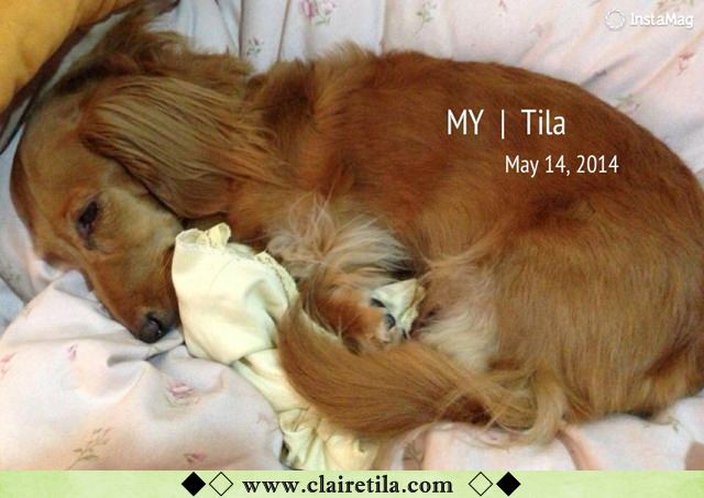 20251024-mbl62 20251024-mbl62