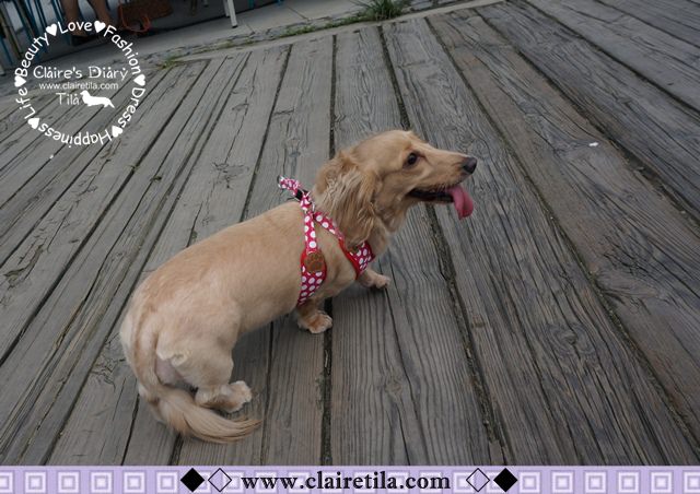 20251024-oujcv 20251024-oujcv