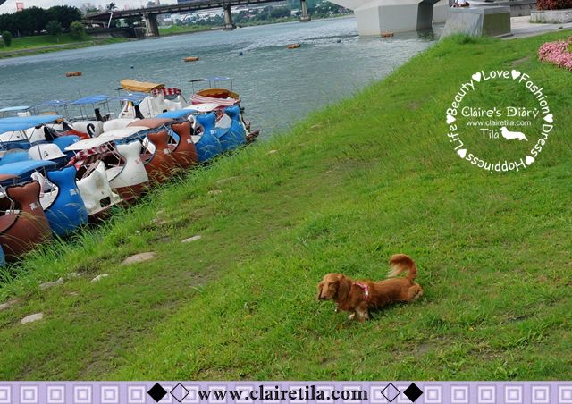 20251024-qkhvg 20251024-qkhvg