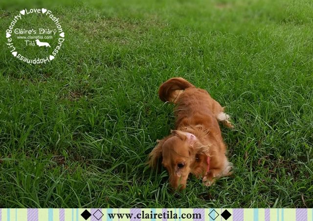 20251024-s59im 20251024-s59im