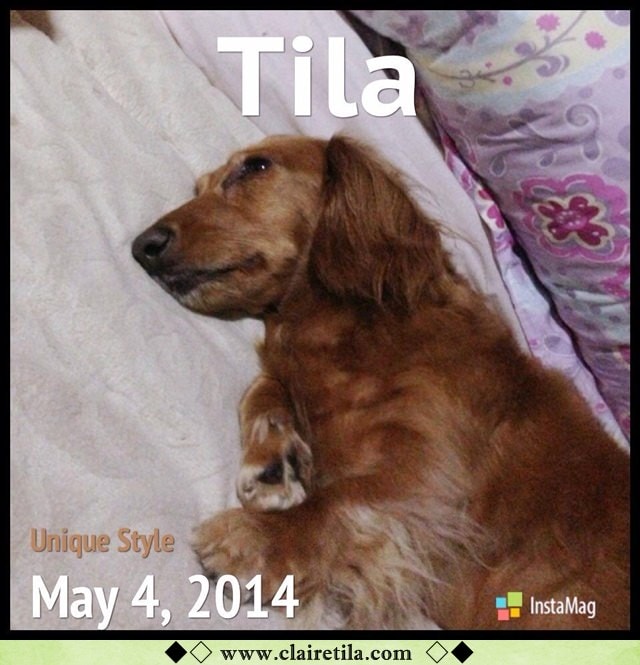 20251024-ulsct 20251024-ulsct