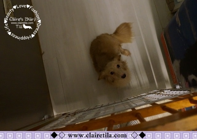 20251024-vvk3v 20251024-vvk3v