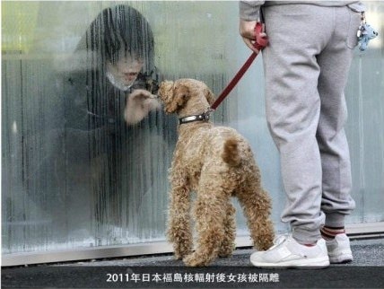 20251024-x47yy 20251024-x47yy